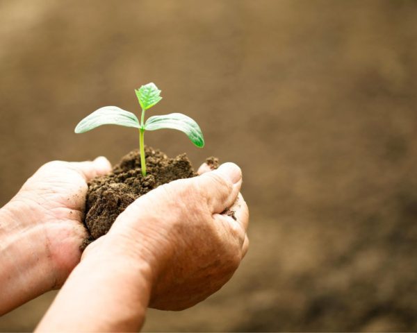 Grote belangstelling voor omschakelfinancieringen IDL