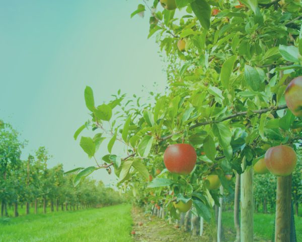 Extra budget voor Investeringsfonds Duurzame Landbouw