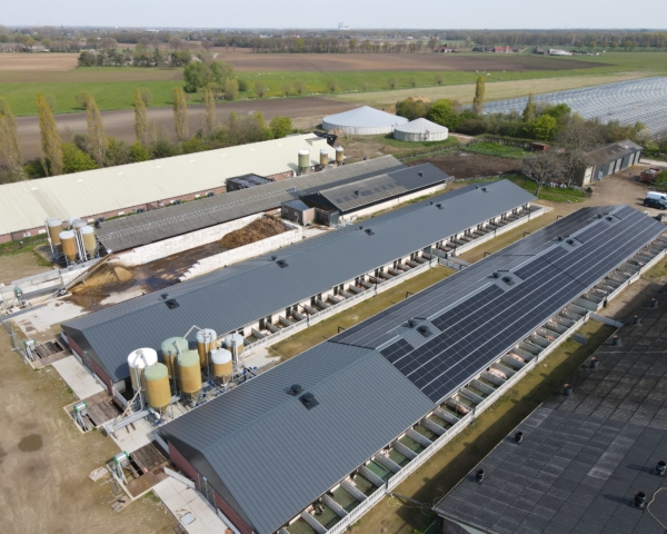 Livar: hoogwaardige varkenshouderijen met oog voor kwaliteit