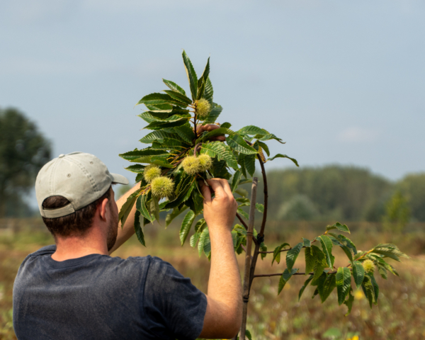 LEUKER1818: van melkvee naar voedselbos