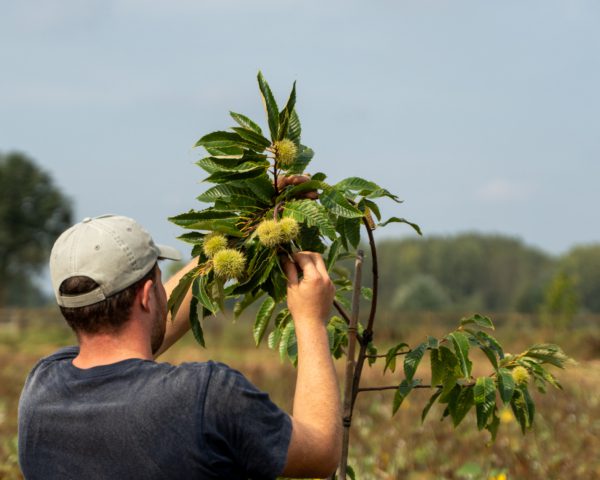 LEUKER1818: van melkvee naar voedselbos