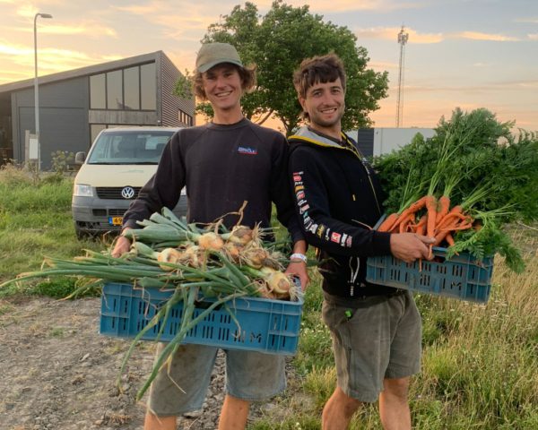Maatschap De Koeijer: stap voor stap naar 100% biologisch akkerbouwbedrijf