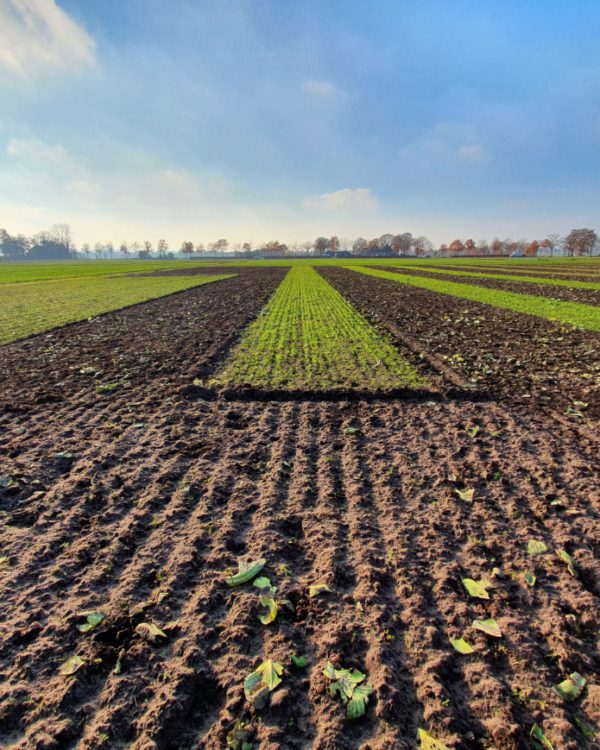 Investeringsfonds Duurzame Landbouw (IDL)